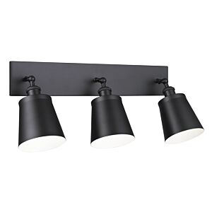 Kinsley 3-Light Wall Sconce in Black