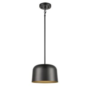 Tuque 1-Light LED Mini-Pendant in Graphite