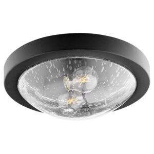 3502 Contempo Ceiling Mounts 2-Light Ceiling Mount in Textured Black w with Clear/Seeded