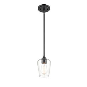 Ashford 1-Light Mini Pendant in Matte Black