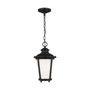 One Light Outdoor Pendant by Generation Lighting.