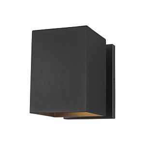 Pohl 1-Light Outdoor Wall Lantern in Black