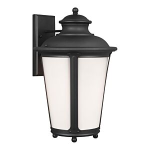 One Light Outdoor Wall Lantern by Generation Lighting.