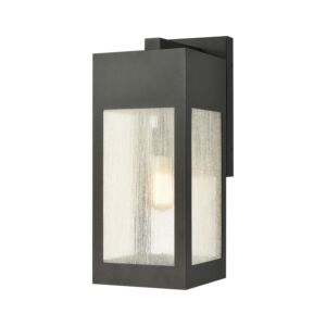 Angus 1-Light Outdoor Wall Sconce in Charcoal