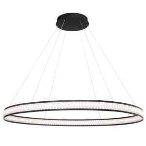 Eurofase Forster 1-Light Chandelier in Black