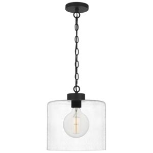 Abner 1-Light Mini Pendant in Matte Black