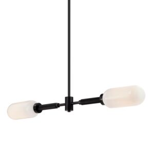 Annex 2-Light Linear Pendant in Anodized Black