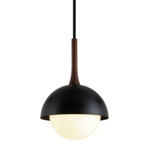 Cadet 1-Light Pendant in Soft Black