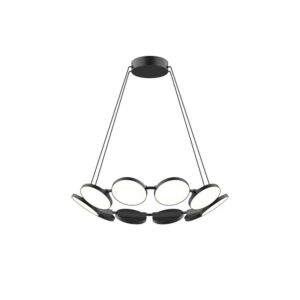 Novel LED Chandelier in Black