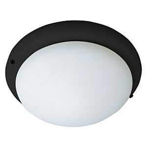 Fan Light Kits 1-Light Ceiling Fan Light Kit Light Kit in Black