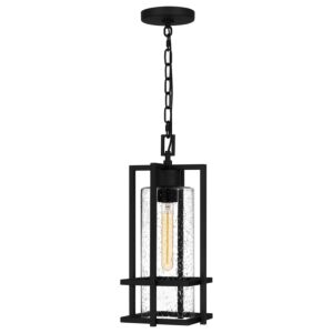 Damien 1-Light Outdoor Hanging Lantern in Earth Black