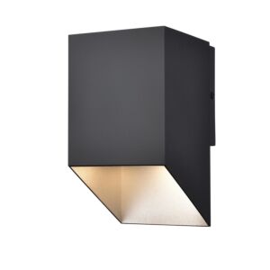 Brecon Outdoor 1-Light Wall Sconce in Stainless Steel and Black