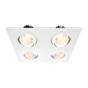 4-Light Downlight in White