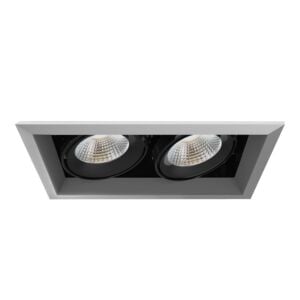 2-Light LED Recessed in Platinum