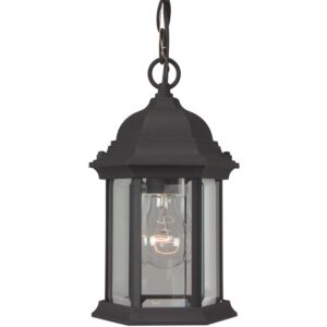 Craftmade Hex Style 11" Outdoor Hanging Light in Textured Matte Black