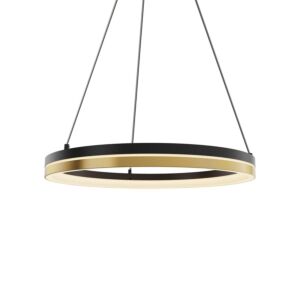 1-Light Pendant in Black Gold