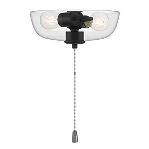 Light Kit-Bowl,Energy Star 2-Light LED Fan Light Kit in Flat Black