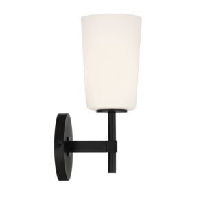 Colton 1-Light Wall Sconce in Black