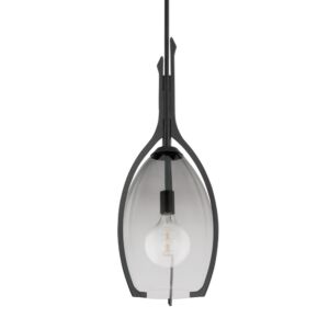 Pacifica 1-Light Pendant in Forged Iron