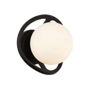 Black Betty 1-Light Wall Sconce in Carbon with French Gold