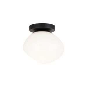 One Light Wall Sconce/Ceiling Mount by Matteo Lighting