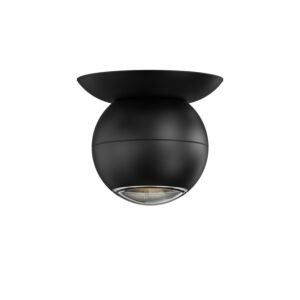 Hemisphere 1-Light Surface Mount in Textured Black