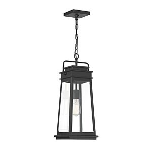 Boone 1-Light Outdoor Hanging Lantern in Matte Black