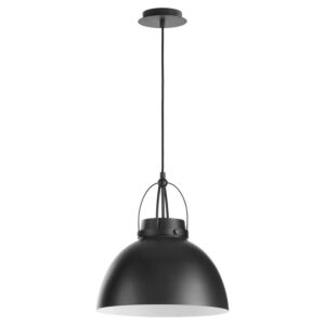 Picture Lights 1-Light Pendant in Matte Black