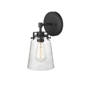 Amberose 1-Light Wall Sconce in Matte Black