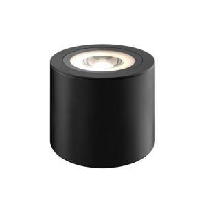 1-Light In-Ground Light with w Surface Mounted Can in Black