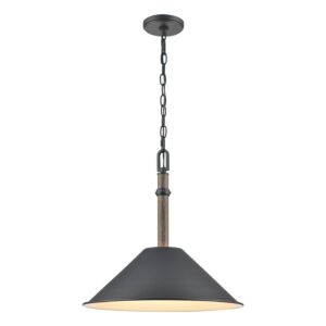 Neville 1-Light Pendant in Charcoal Black