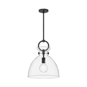 Waldo 1-Light Pendant in Matte Black with Clear Glass