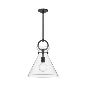 Emerson 1-Light Pendant in Matte Black with Clear Glass