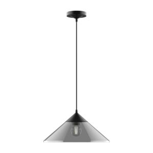 Mauer 1-Light Pendant in Matte Black with Smoked