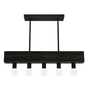 Hunter Donelson 5-Light Linear Chandelier in Natural Iron