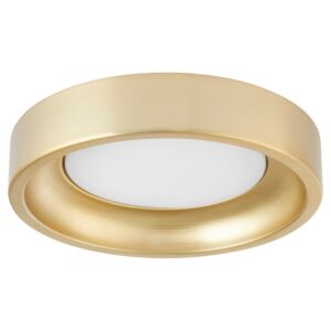 Zeus 1-Light LED Light Kit in Aged Brass