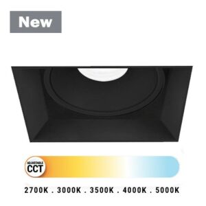 Midway 1-Light LED Downlight in Black