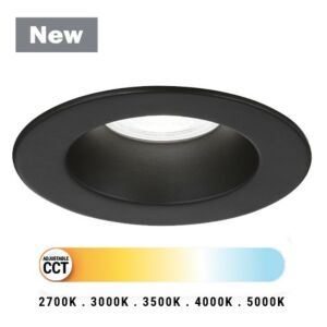 Midway 1-Light LED Downlight in Black