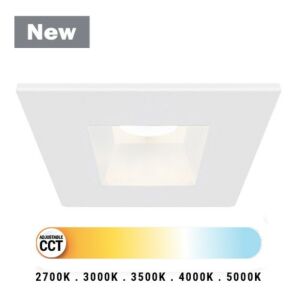 Midway 1-Light LED Downlight in White