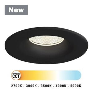 Midway 1-Light LED Downlight in Black