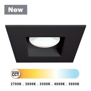 Midway 1-Light LED Downlight in Black