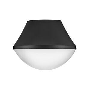 Haddie 1-Light LED Flush Mount in Black