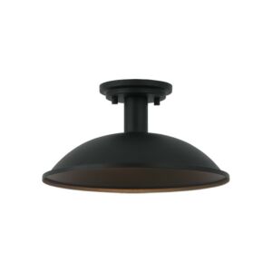 Farmley 1-Light Ceiling Mount