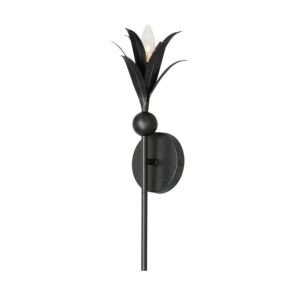 Paloma 1-Light Wall Sconce in Anthracite