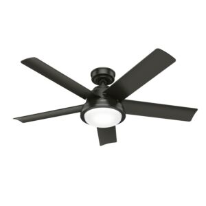 Seawall 2-Light 52" Outdoor Ceiling Fan in Noble Bronze