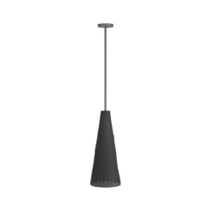 Taya 1-Light Pendant in Black