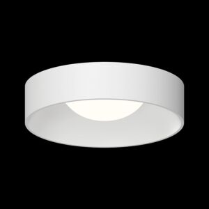 Ilios 1-Light LED Surface Mount in Satin White