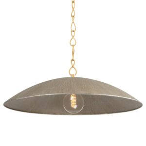 Eve 1-Light Pendant in Vintage Gold Leaf with Textured Warm Silver Leaf