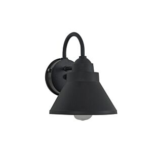 Resilience Lanterns 1-Light Outdoor Lantern in Textured Black