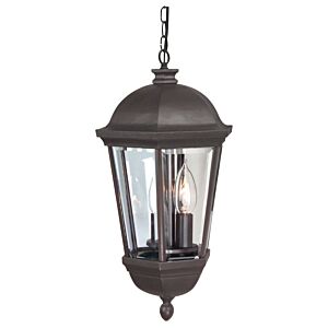 Craftmade Britannia 23" Outdoor Hanging Light in Oiled Bronze Outdoor